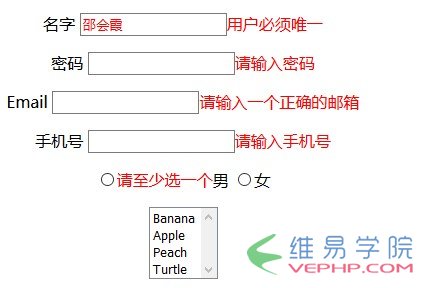 PHP應(yīng)用：Yii框架中jquery表單驗證插件用法示例
