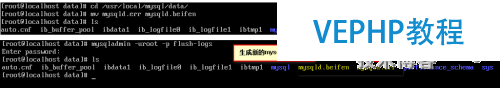 mysql數據庫的參數以及性能的調配
