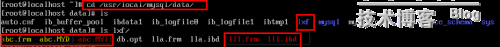 mysql數據庫的參數以及性能的調配