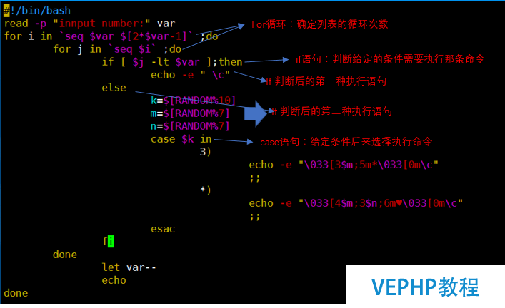 LINUX實操：Linux里的循環語句