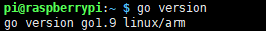 LINUX學(xué)習(xí)：Raspberrypi樹莓派Liunx下安裝Golang1.9環(huán)境(Debian)