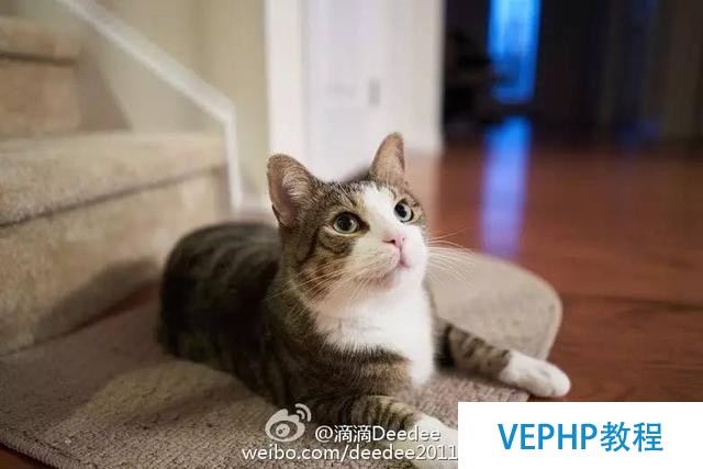 小白學數據：一文看懂NoSQL數據庫