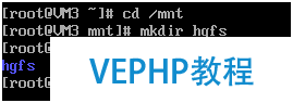 虛擬機VMWare文本模式Linux 與 Windows 文件互傳