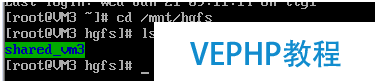 虛擬機VMWare文本模式Linux 與 Windows 文件互傳